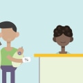 Calculating Co-Insurance Rates for Services Covered by Plans